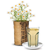 Kit de Cultura Plantas para Ch - Camomila